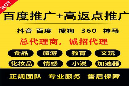 百度SEO推广策略案例：一家公司的成功转型之路